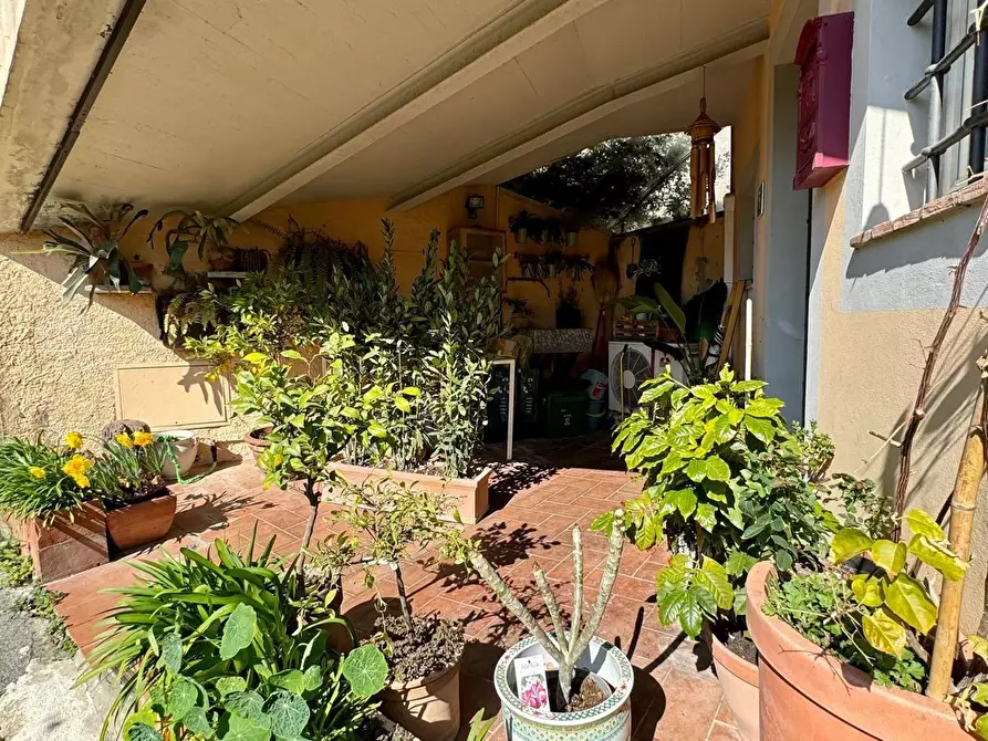 Immagine 34 di Terratetto in vendita  a Camaiore