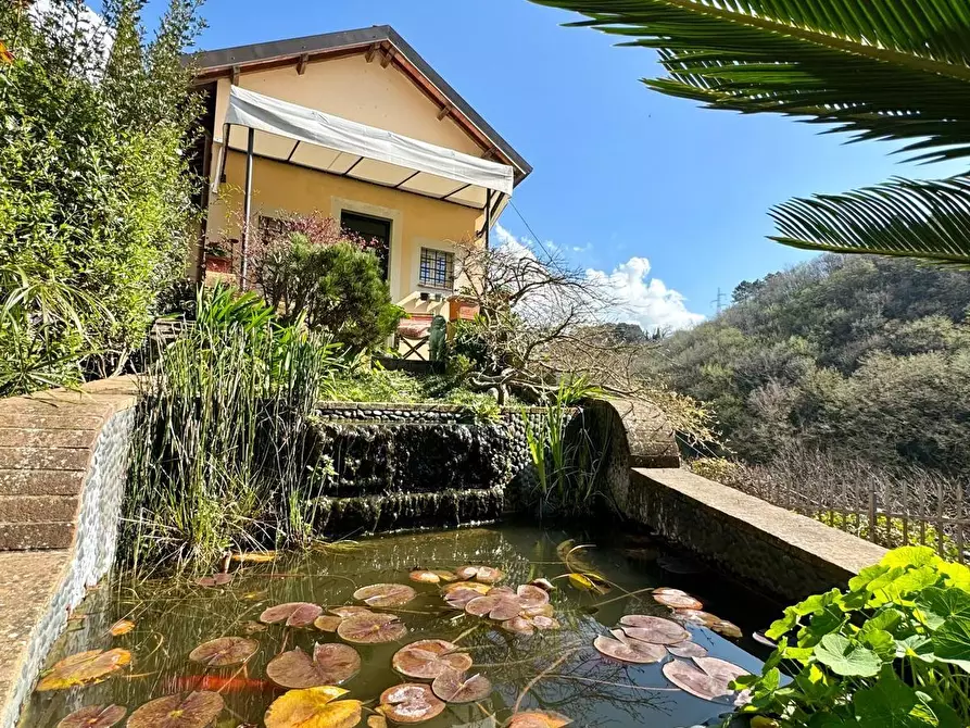 Immagine 3 di Terratetto in vendita  a Camaiore