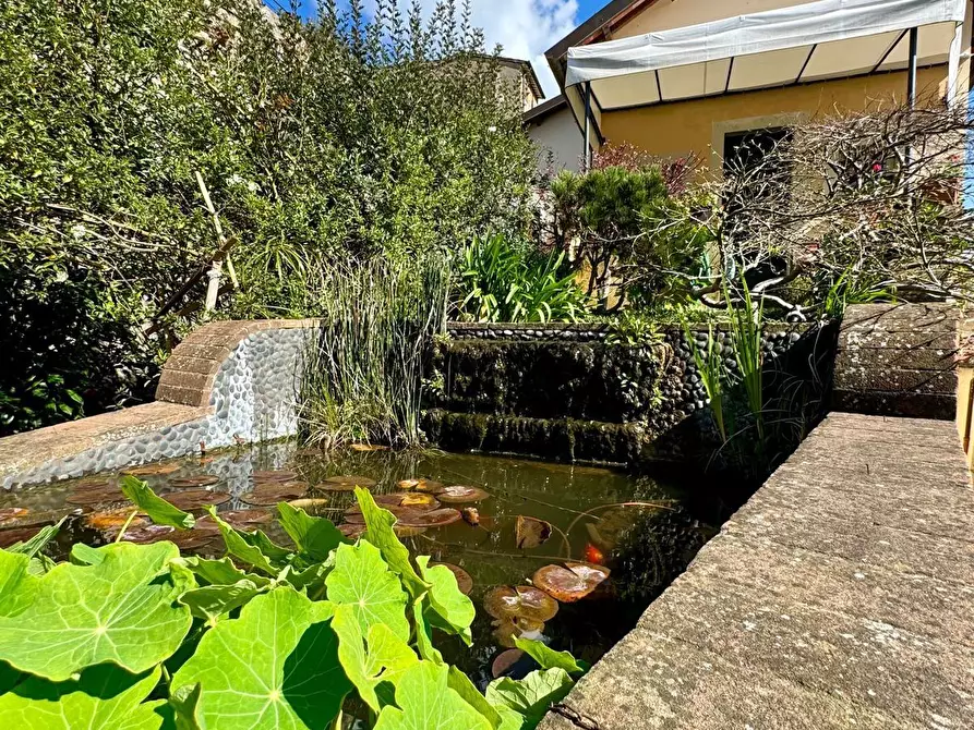 Immagine 4 di Terratetto in vendita  a Camaiore