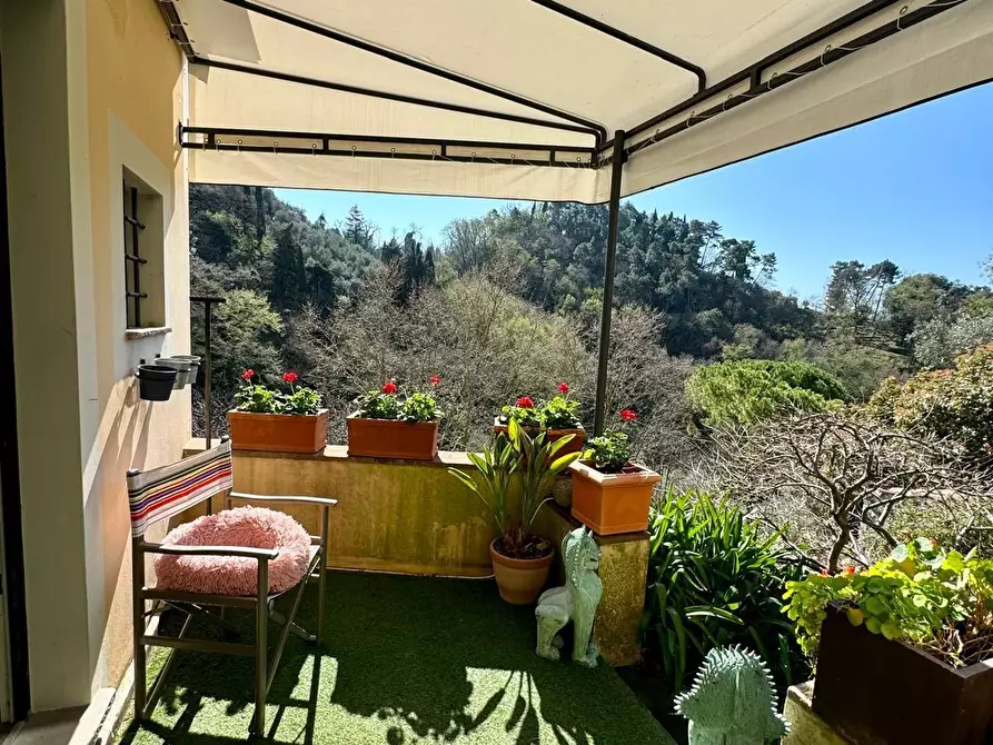 Immagine 1 di Terratetto in vendita  a Camaiore