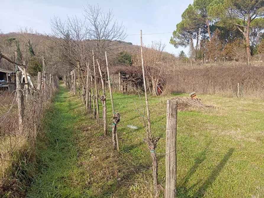 Immagine 1 di Terreno agricolo in vendita  a Poggibonsi