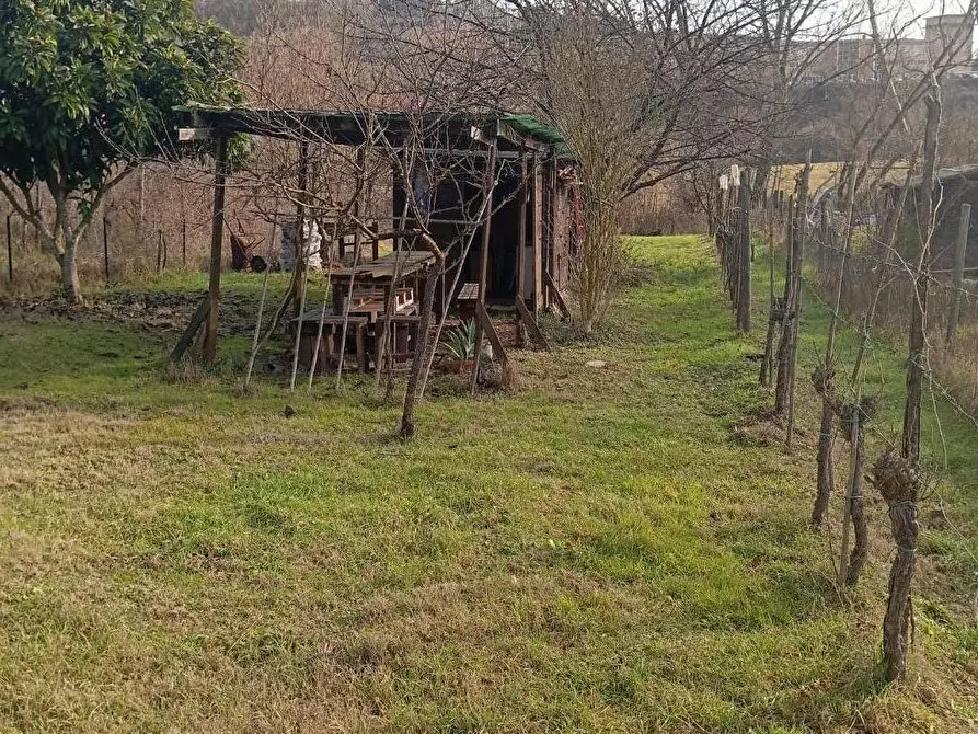 Immagine 2 di Terreno agricolo in vendita  a Poggibonsi