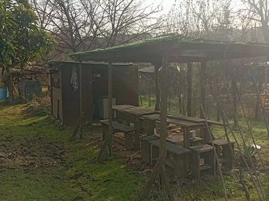 Immagine 3 di Terreno agricolo in vendita  a Poggibonsi