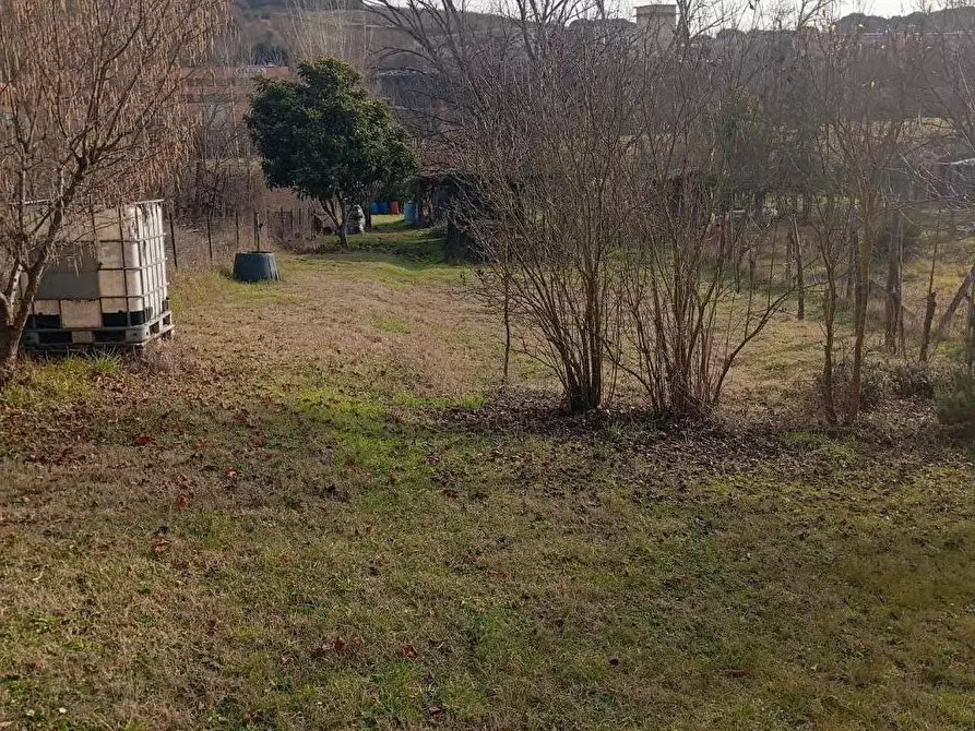 Immagine 4 di Terreno agricolo in vendita  a Poggibonsi