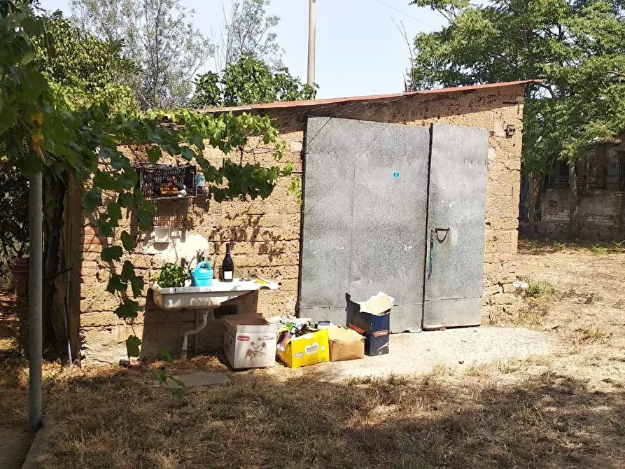 Immagine 9 di Azienda agricola in vendita  a Grosseto