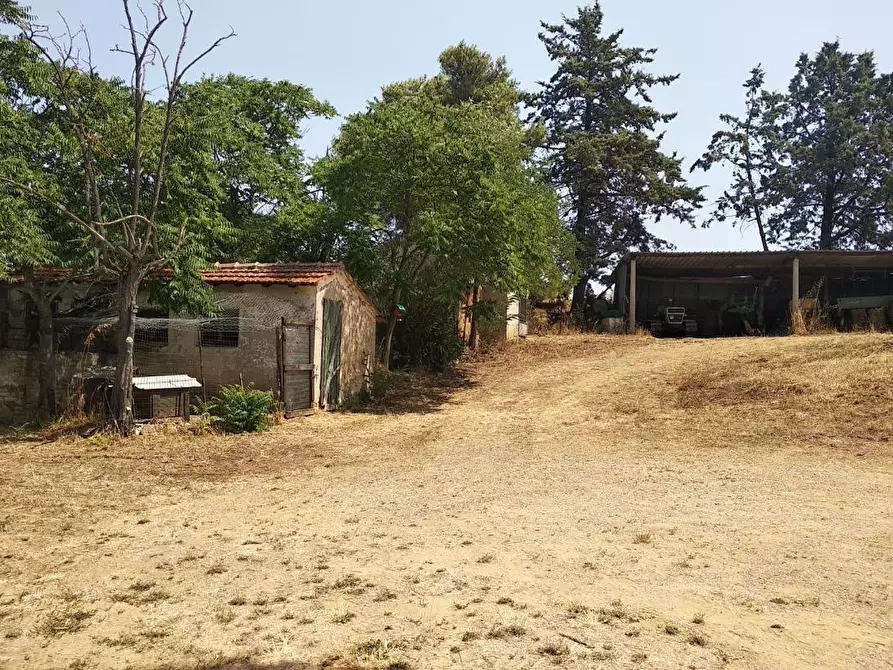 Immagine 10 di Azienda agricola in vendita  a Grosseto