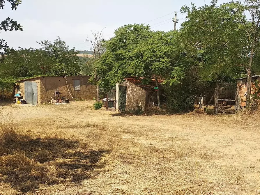 Immagine 7 di Azienda agricola in vendita  a Grosseto