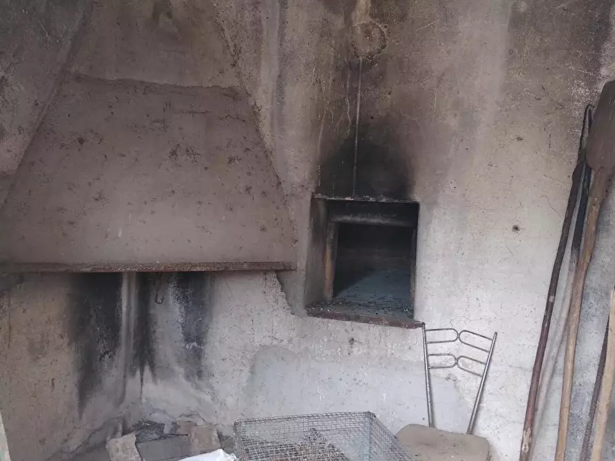 Immagine 8 di Azienda agricola in vendita  a Grosseto