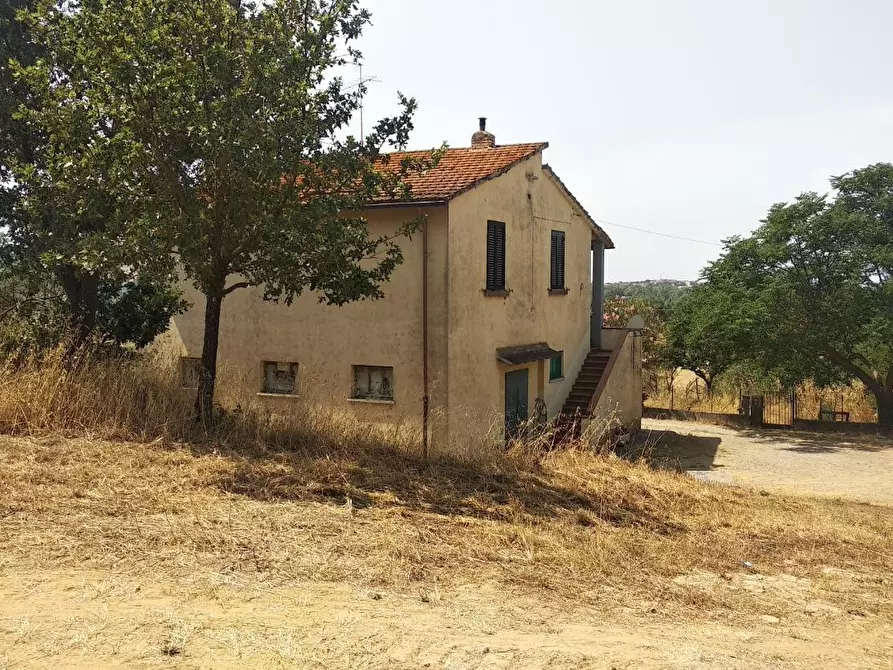 Immagine 1 di Azienda agricola in vendita  a Grosseto