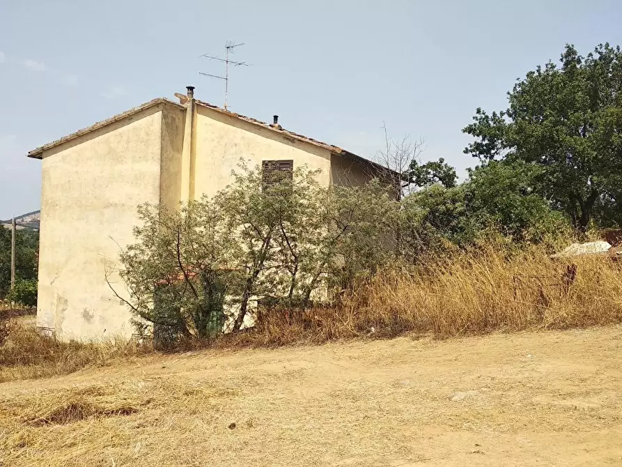 Immagine 11 di Azienda agricola in vendita  a Grosseto