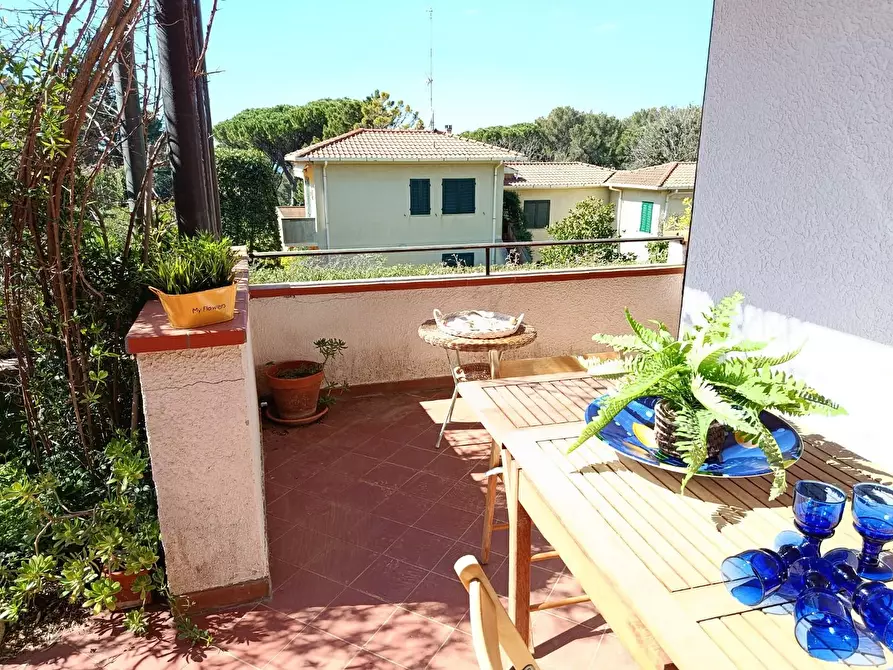 Immagine 3 di Appartamento in vendita  a Rosignano Marittimo