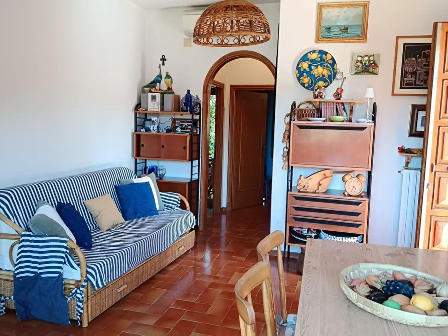 Immagine 11 di Appartamento in vendita  a Rosignano Marittimo