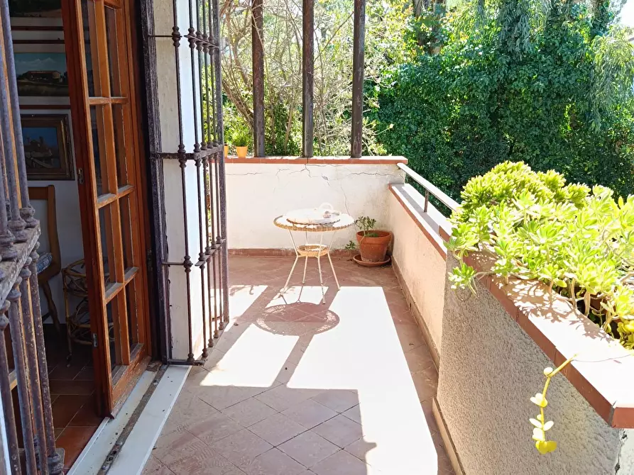 Immagine 10 di Appartamento in vendita  a Rosignano Marittimo