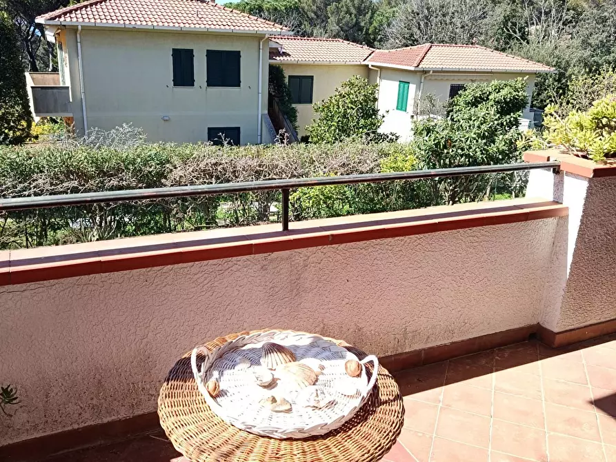 Immagine 27 di Appartamento in vendita  a Rosignano Marittimo