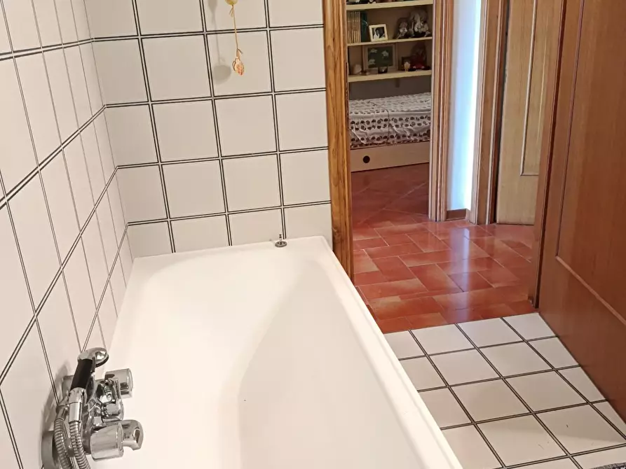 Immagine 24 di Appartamento in vendita  a Rosignano Marittimo