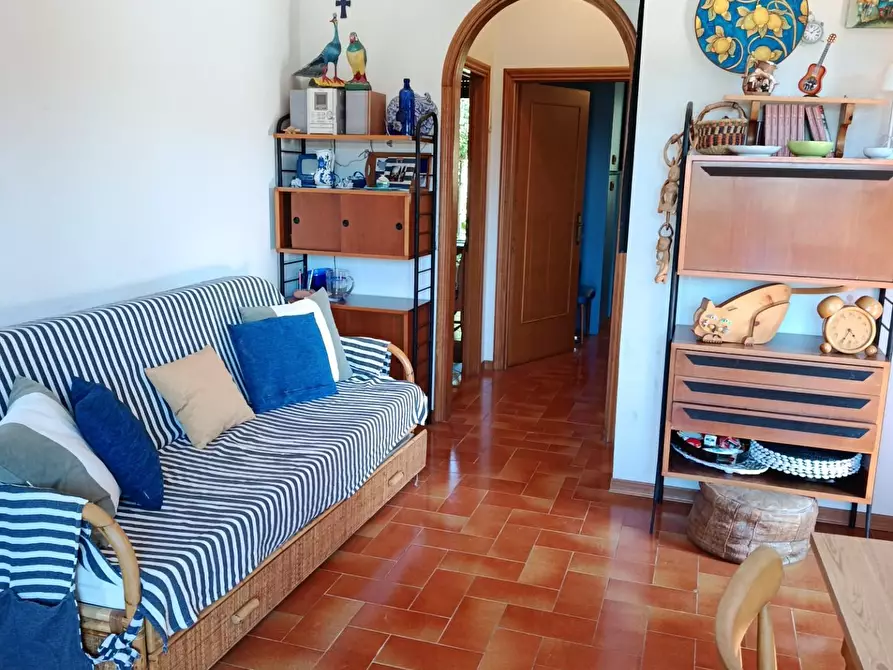 Immagine 12 di Appartamento in vendita  a Rosignano Marittimo