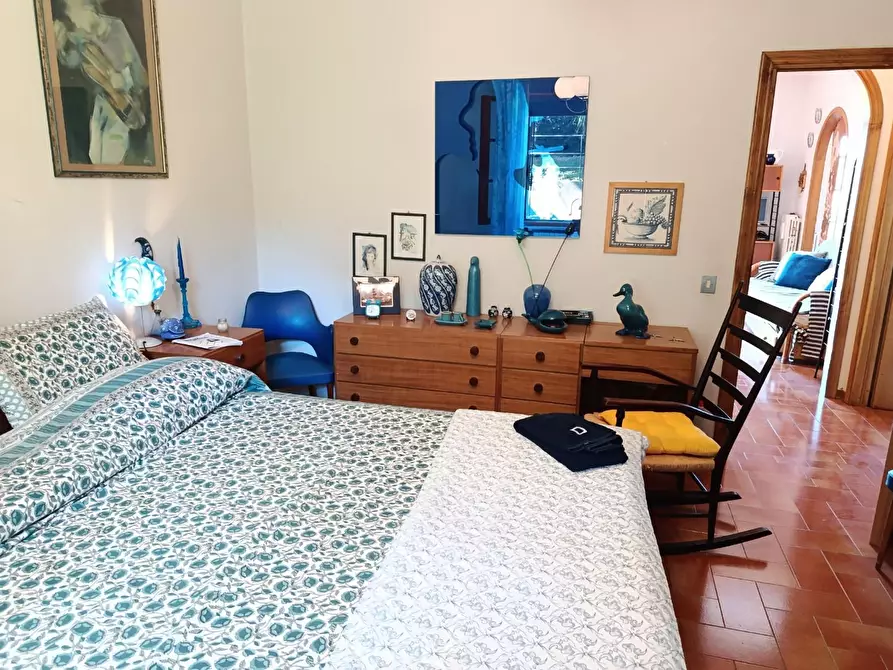 Immagine 15 di Appartamento in vendita  a Rosignano Marittimo