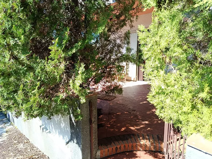 Immagine 29 di Appartamento in vendita  a Rosignano Marittimo