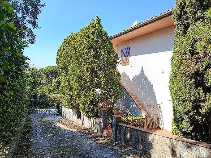 Immagine 30 di Appartamento in vendita  a Rosignano Marittimo