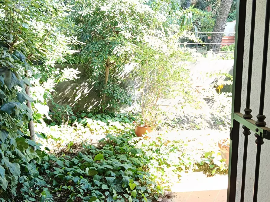 Immagine 21 di Appartamento in vendita  a Rosignano Marittimo