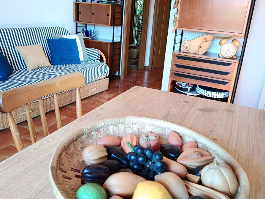 Immagine 7 di Appartamento in vendita  a Rosignano Marittimo