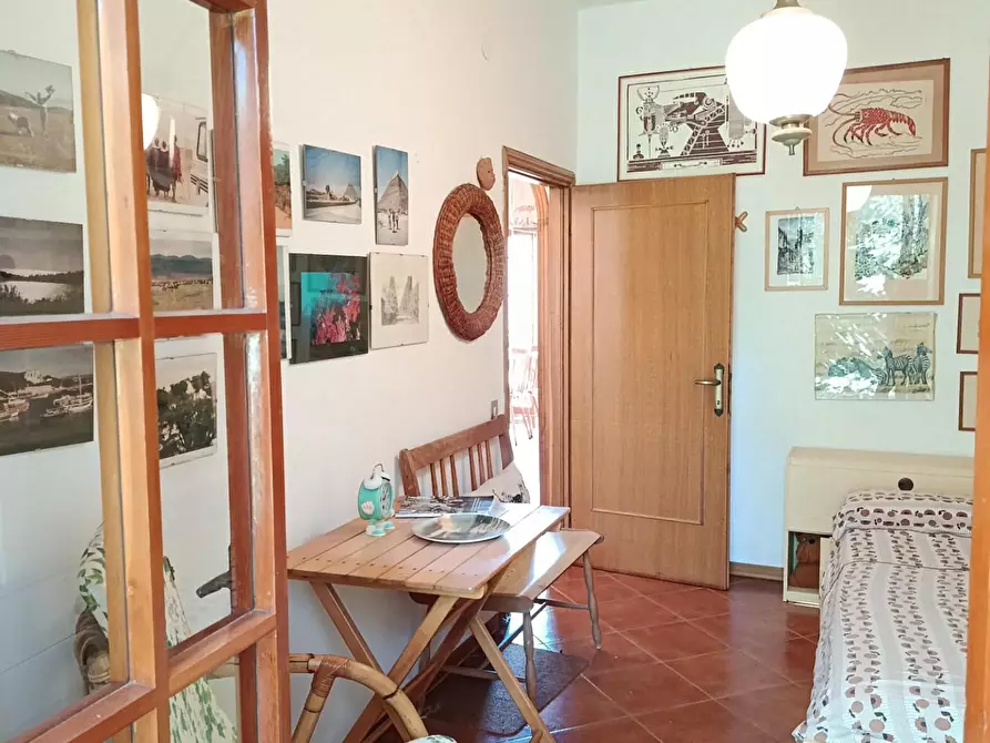 Immagine 19 di Appartamento in vendita  a Rosignano Marittimo