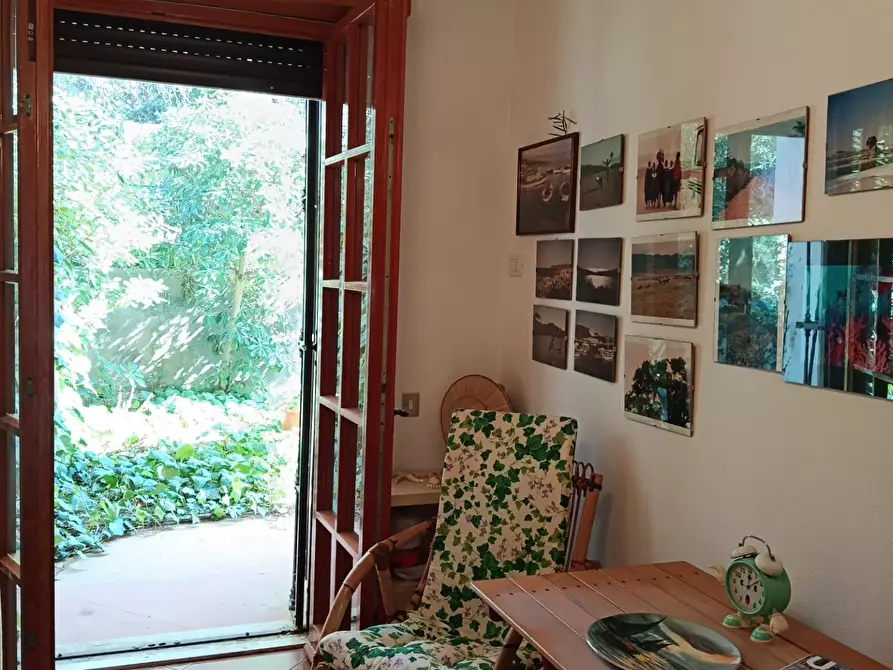 Immagine 18 di Appartamento in vendita  a Rosignano Marittimo