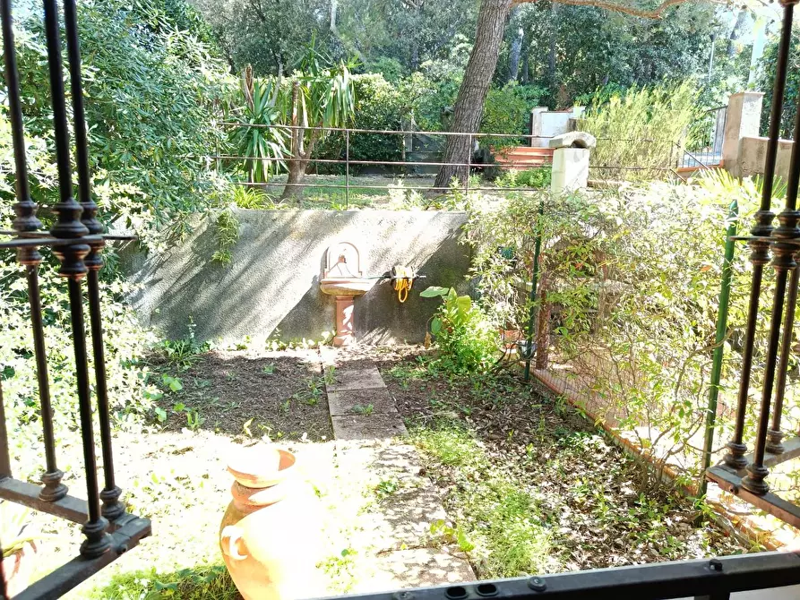 Immagine 17 di Appartamento in vendita  a Rosignano Marittimo