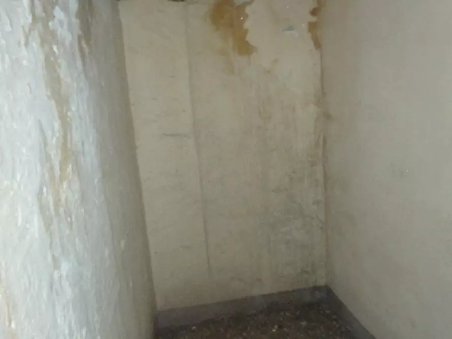 Immagine 5 di Rustico / casale in vendita  a Calci