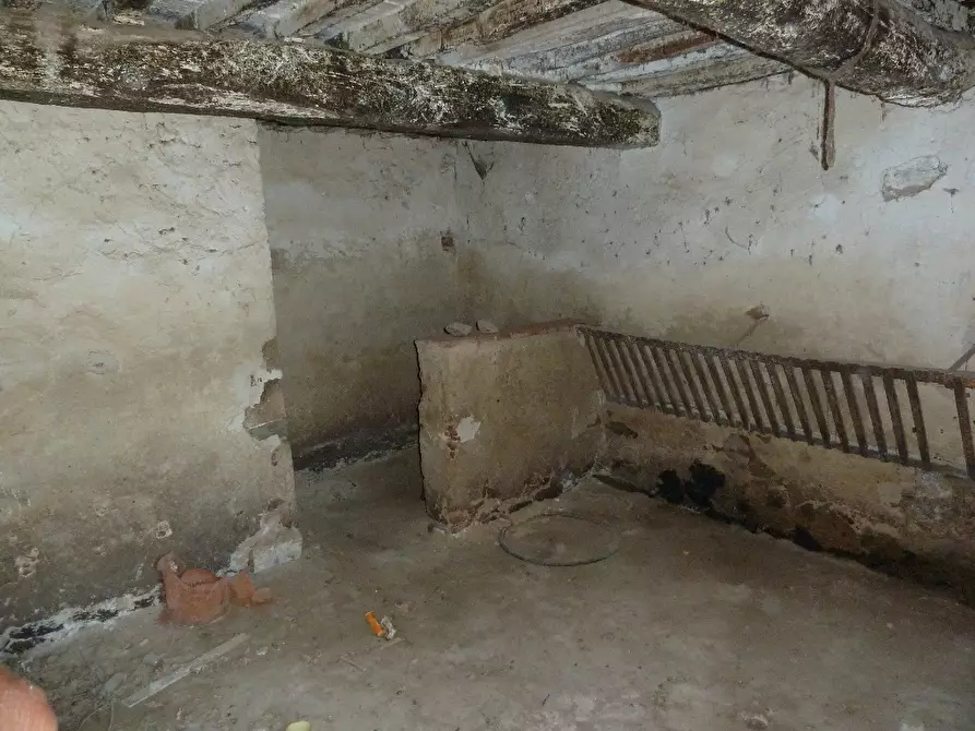 Immagine 11 di Rustico / casale in vendita  a Calci
