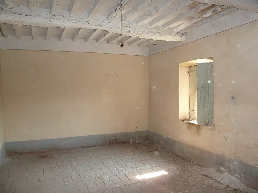 Immagine 3 di Rustico / casale in vendita  a Calci
