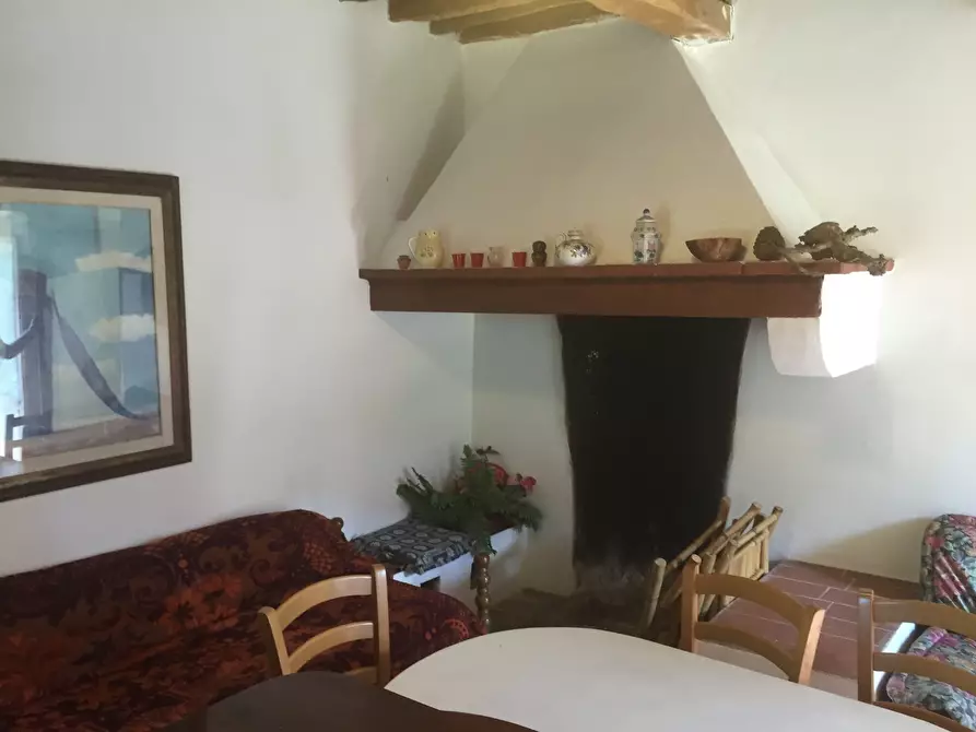 Immagine 2 di Casa colonica in vendita  a Calci