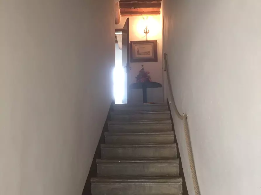 Immagine 3 di Casa colonica in vendita  a Calci