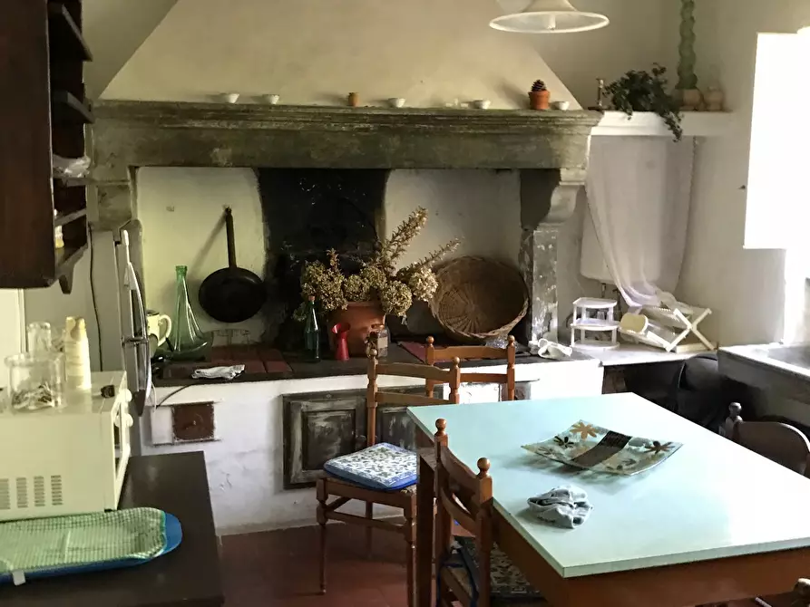 Immagine 2 di Casa colonica in vendita  a Calci