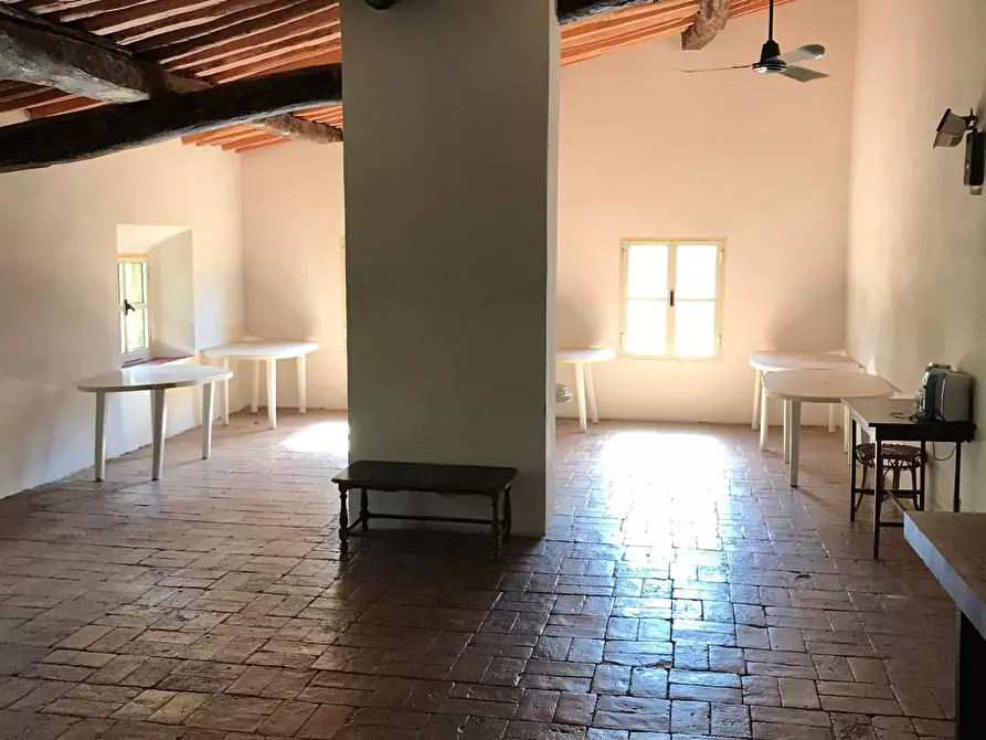 Immagine 7 di Casa colonica in vendita  a Calci