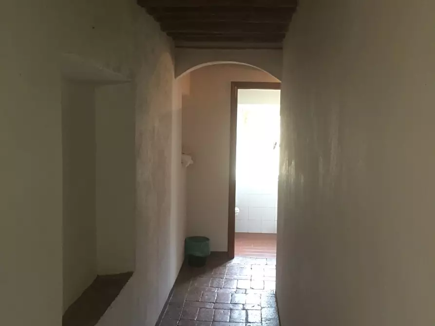 Immagine 17 di Casa colonica in vendita  a Calci