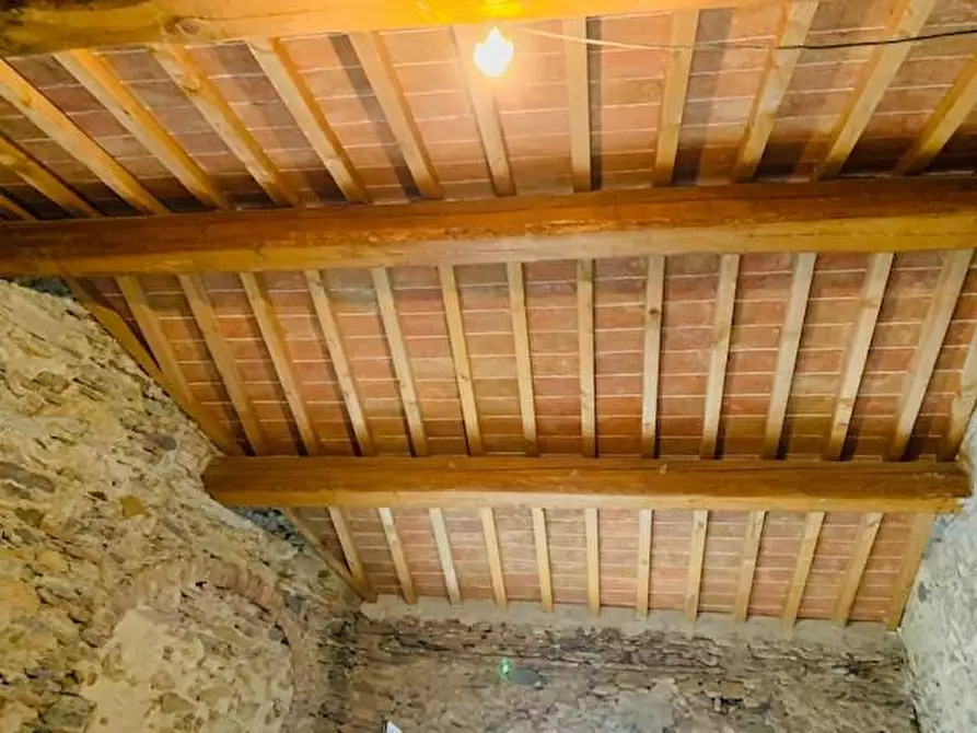 Immagine 2 di Magazzino in vendita  a Calci