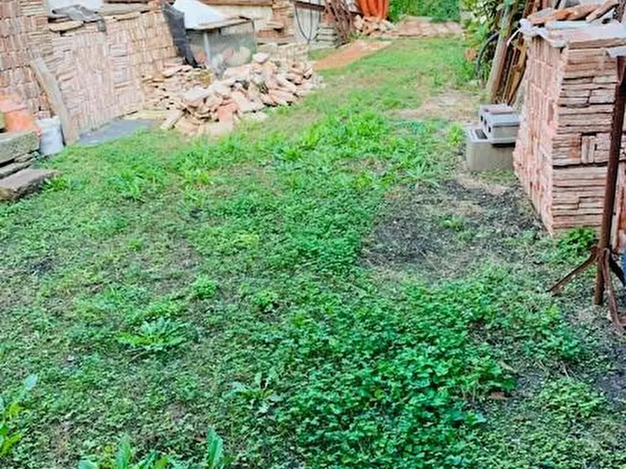 Immagine 3 di Magazzino in vendita  a Calci