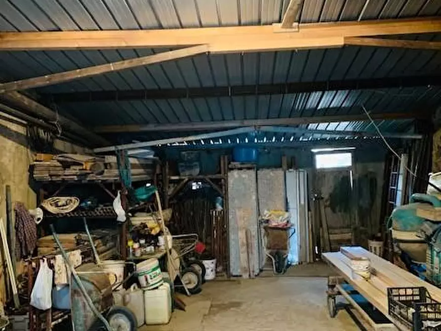 Immagine 5 di Magazzino in vendita  a Calci