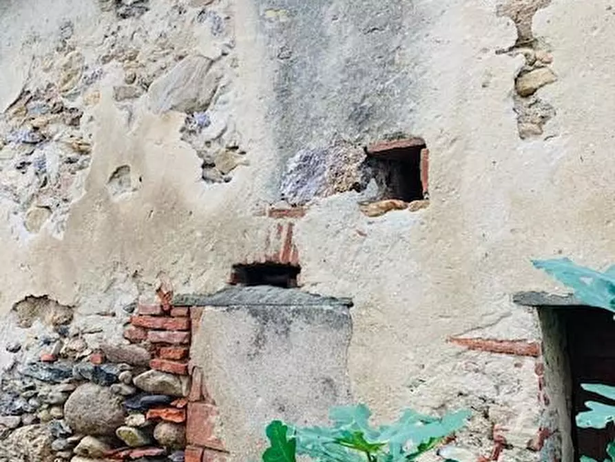 Immagine 4 di Magazzino in vendita  a Calci