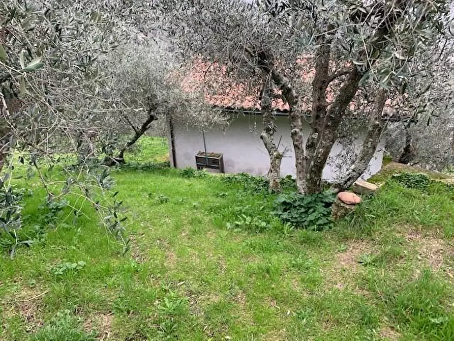 Immagine 1 di Garage in vendita  a Calci