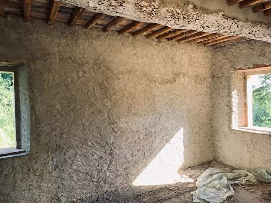 Immagine 5 di Casa colonica in vendita  a Calci