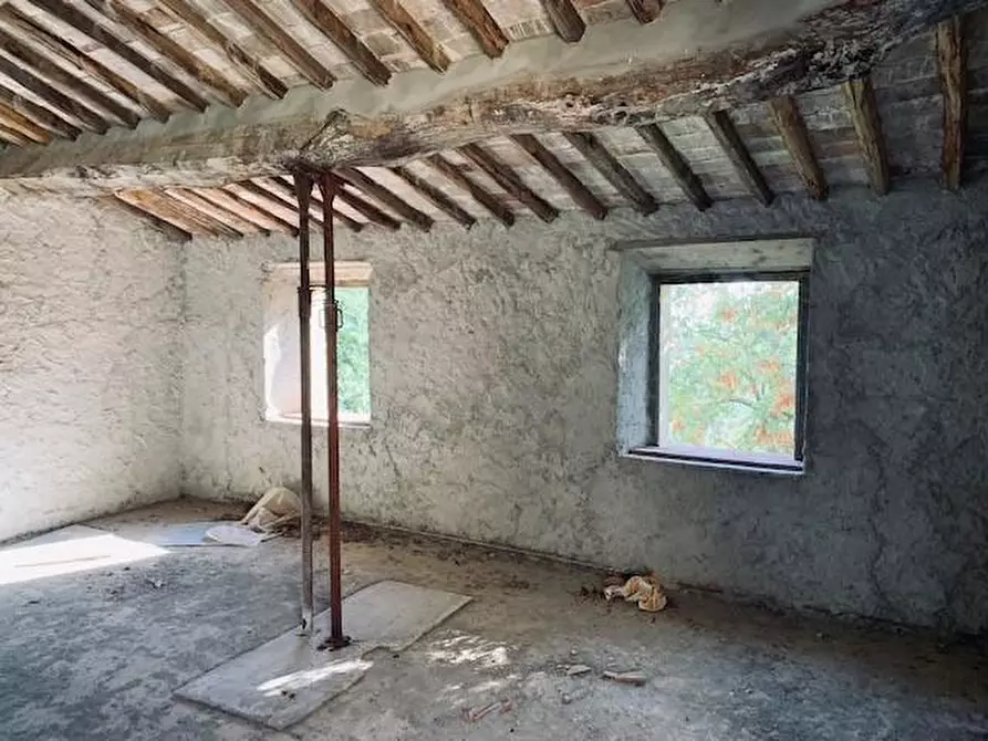Immagine 2 di Casa colonica in vendita  a Calci