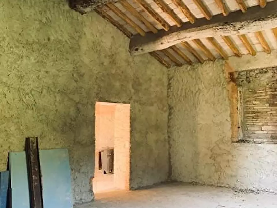 Immagine 6 di Casa colonica in vendita  a Calci