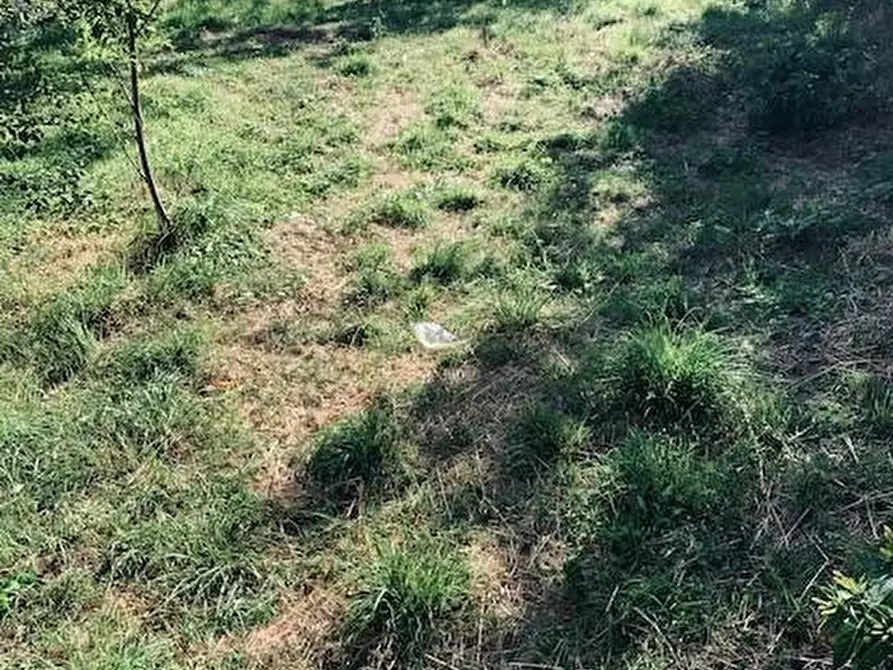 Immagine 15 di Casa colonica in vendita  a Calci