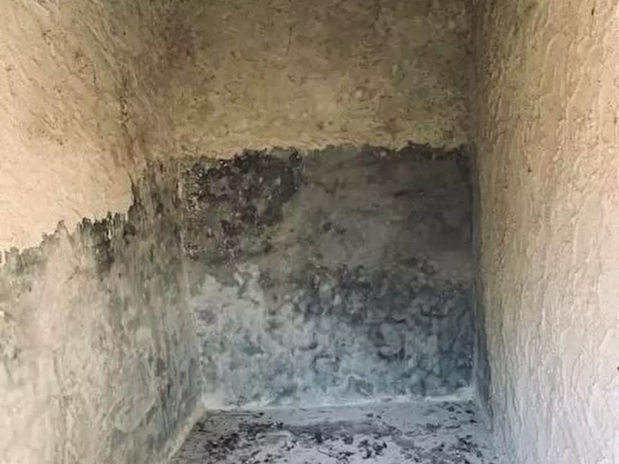 Immagine 12 di Casa colonica in vendita  a Calci