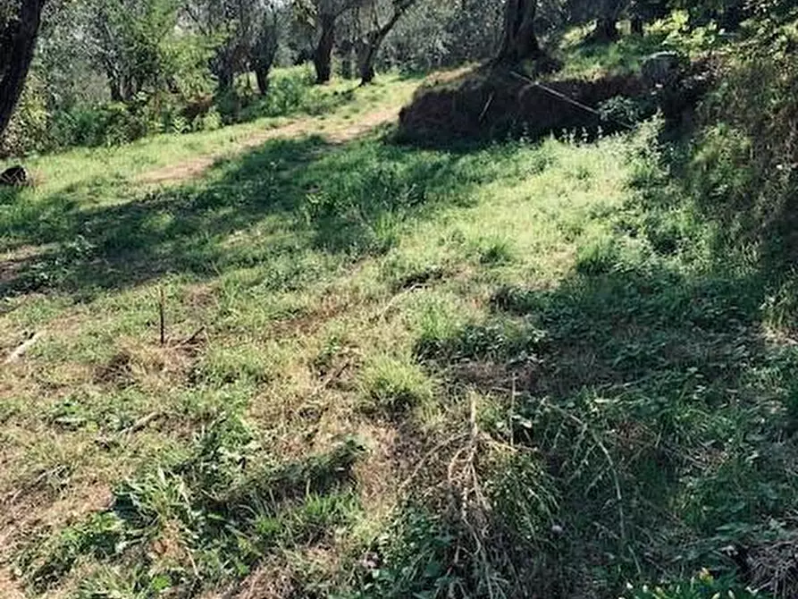 Immagine 16 di Casa colonica in vendita  a Calci