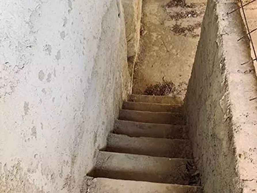 Immagine 4 di Casa colonica in vendita  a Calci