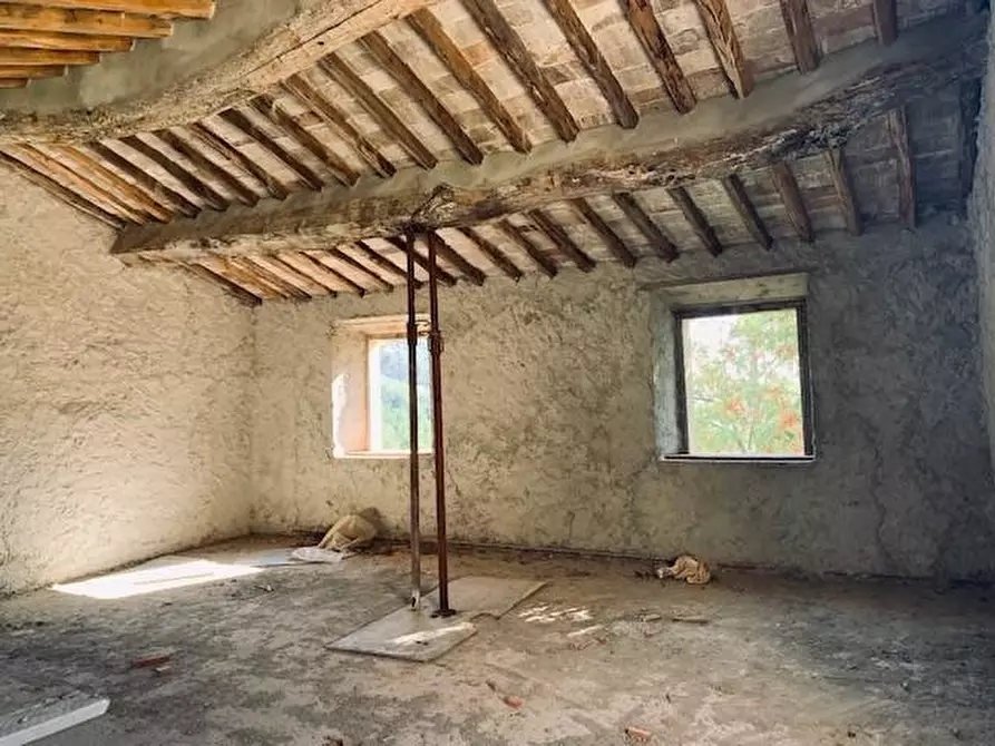 Immagine 3 di Casa colonica in vendita  a Calci