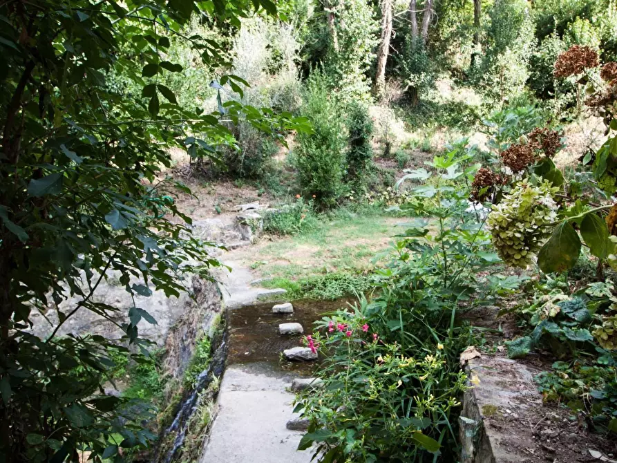 Immagine 6 di Rustico / casale in vendita  a Calci